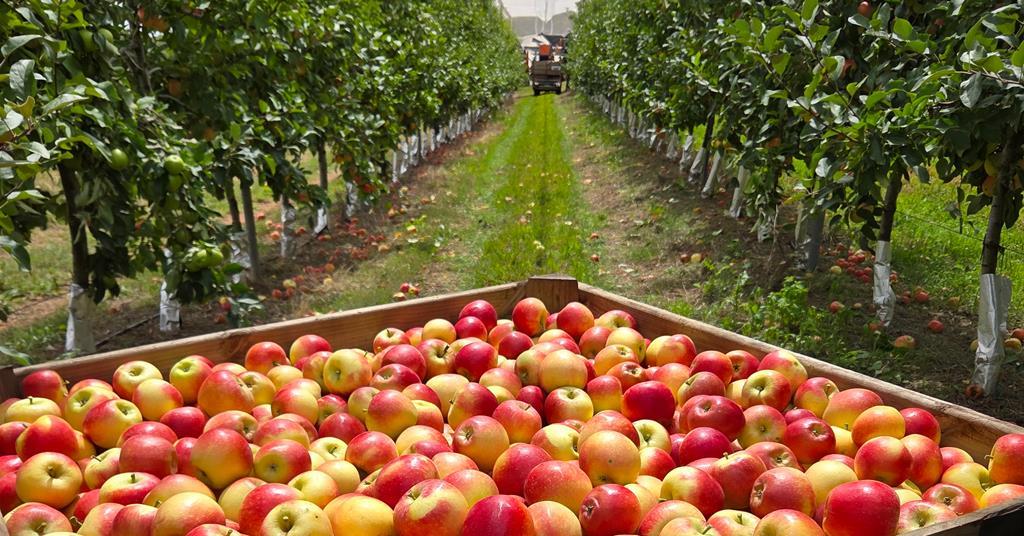 Produce Plus tweet media