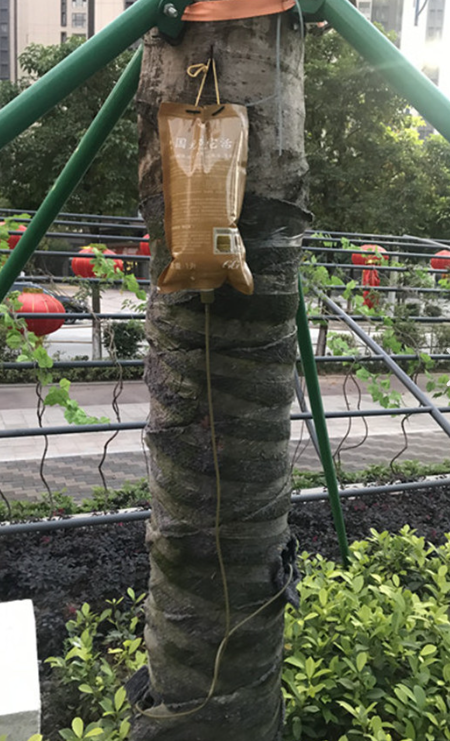 265🔞(Commission close) tweet media