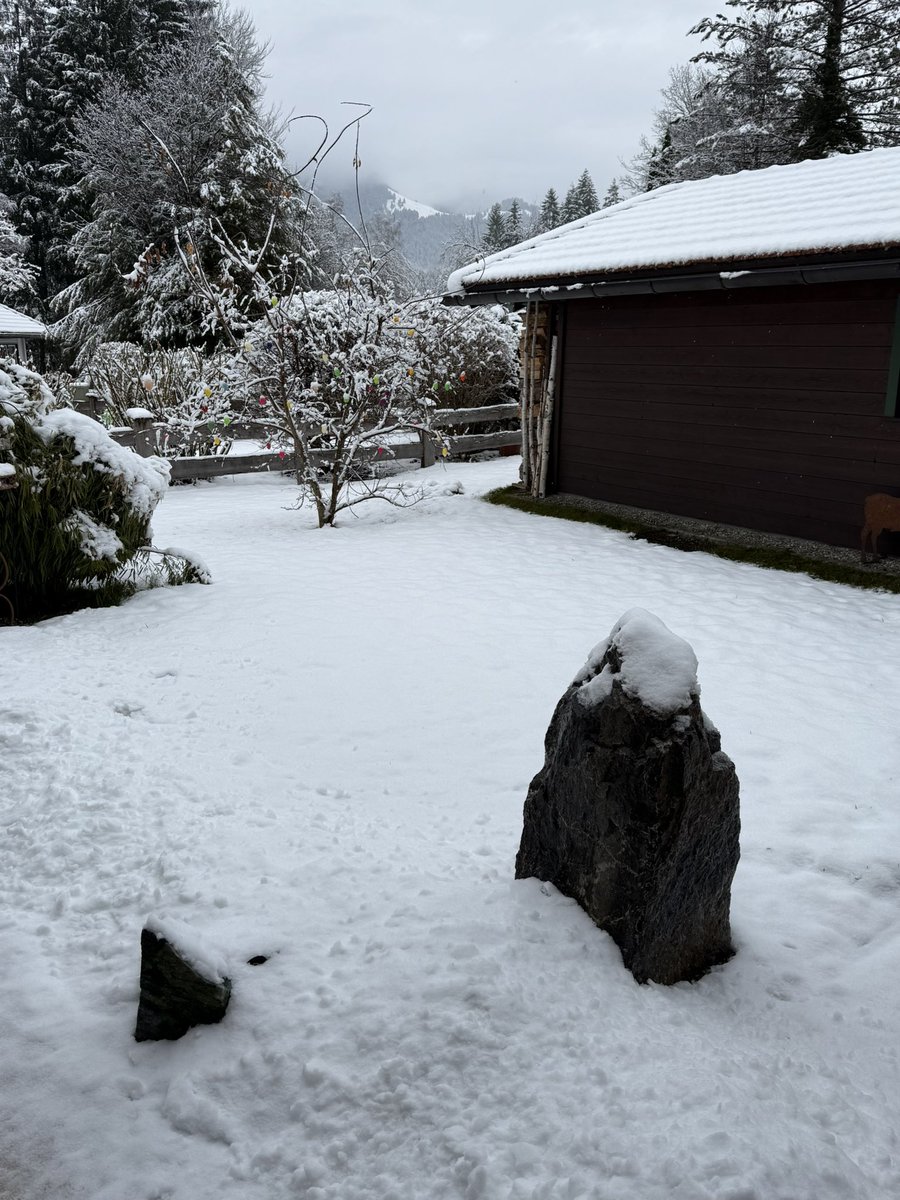 Jo☮️Jo 🤘 tweet media