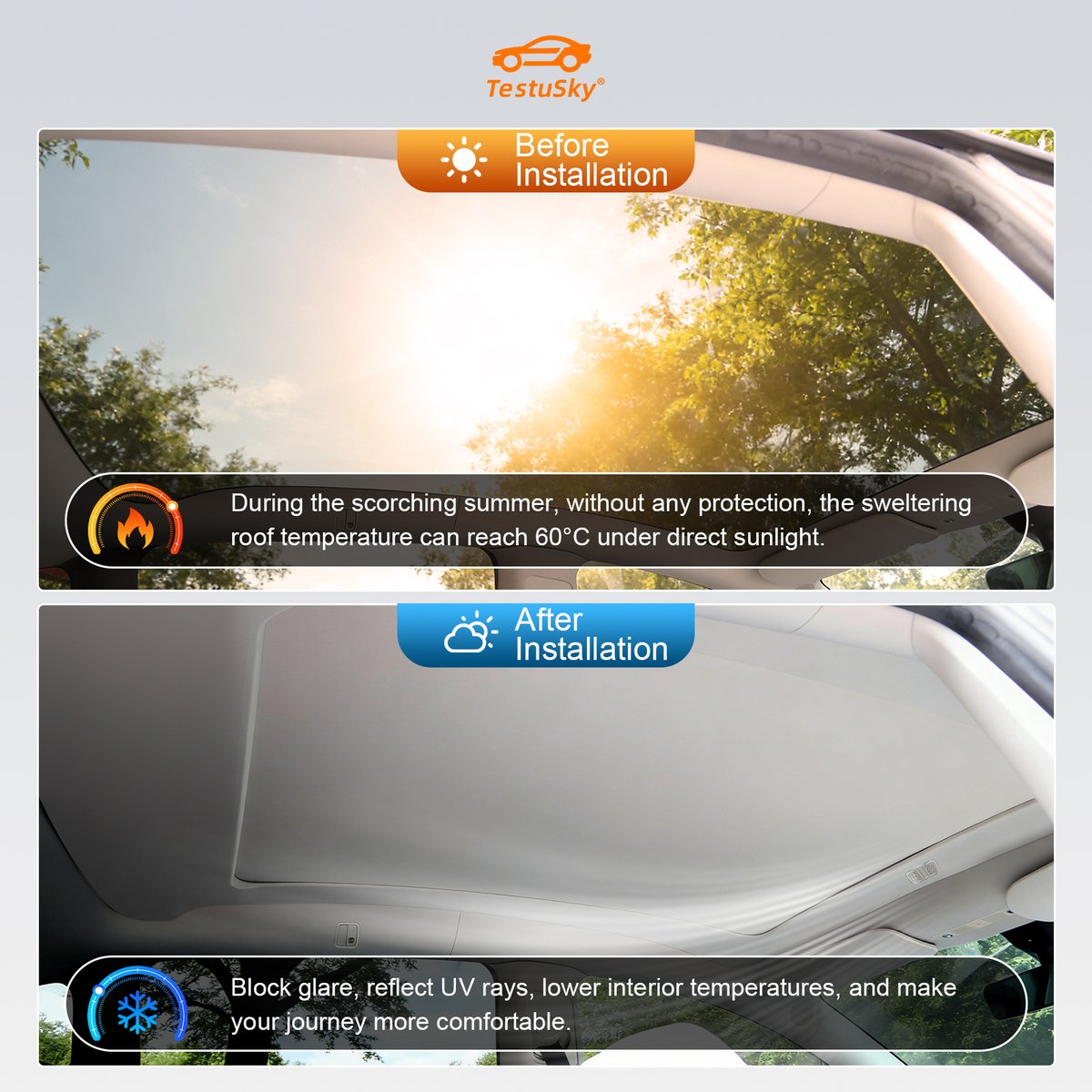 张昊天 tweet media