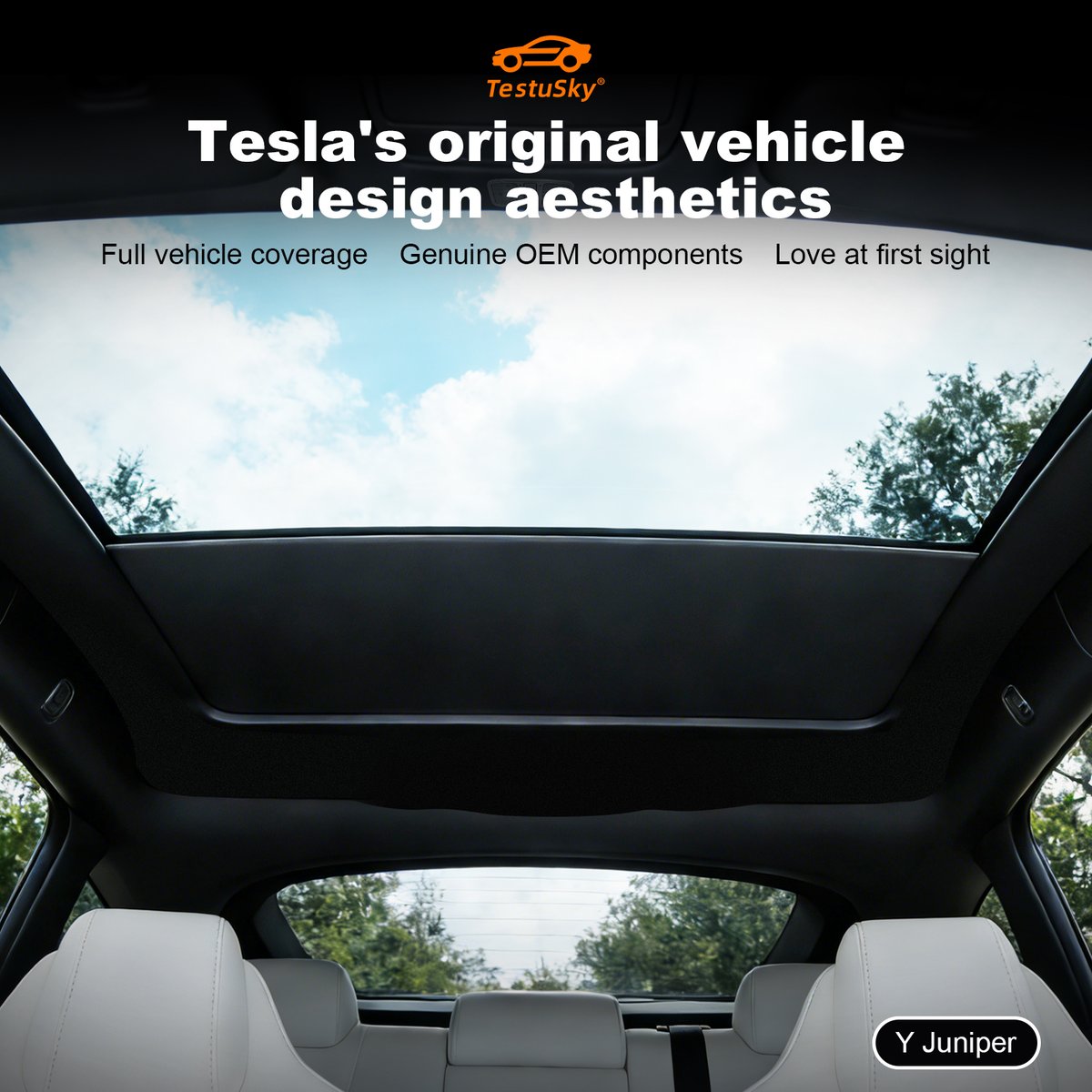 张昊天 tweet media