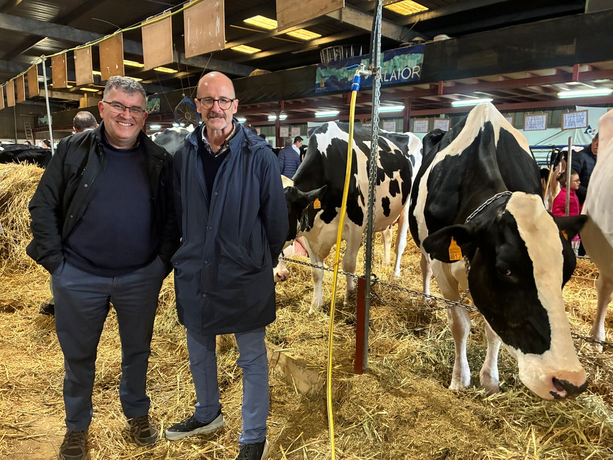 Fernando Fernández tweet media