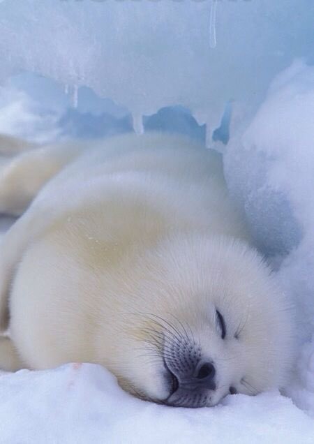 sweet ❦♏︎♕™ tweet media