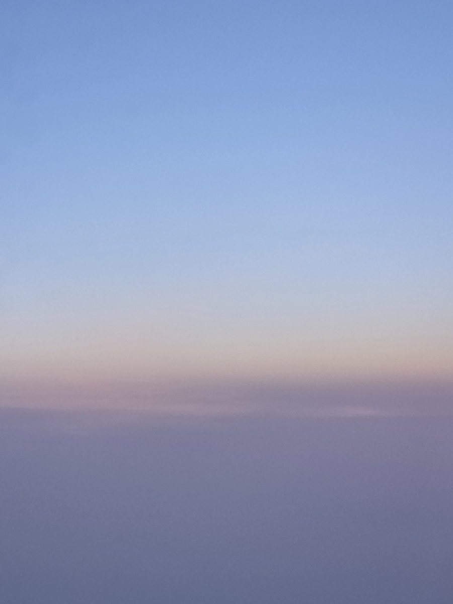 시로🤍 tweet media