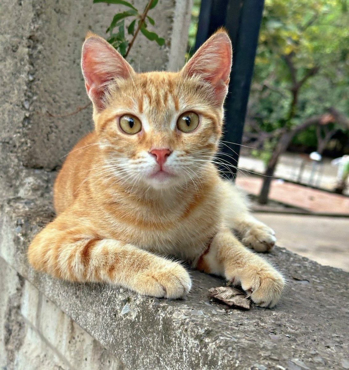 Powder🚀 tweet media