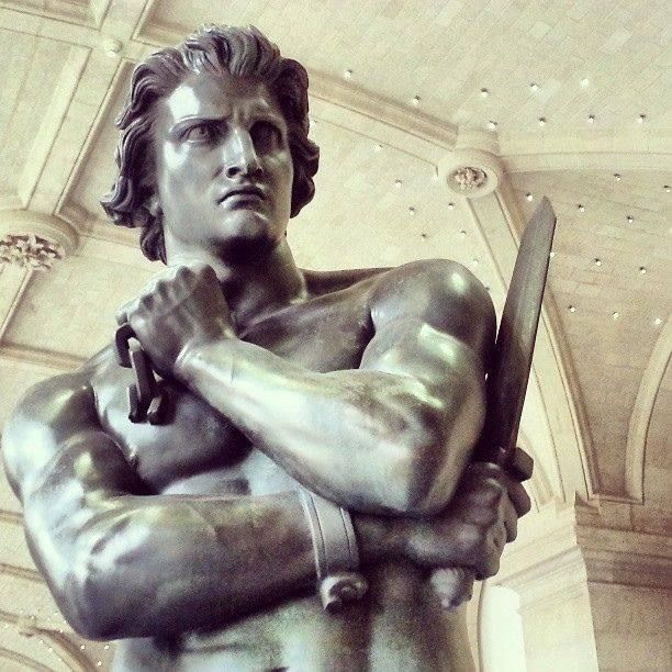 ⚡️🌞 Sol Brah 🌞🐬 tweet media