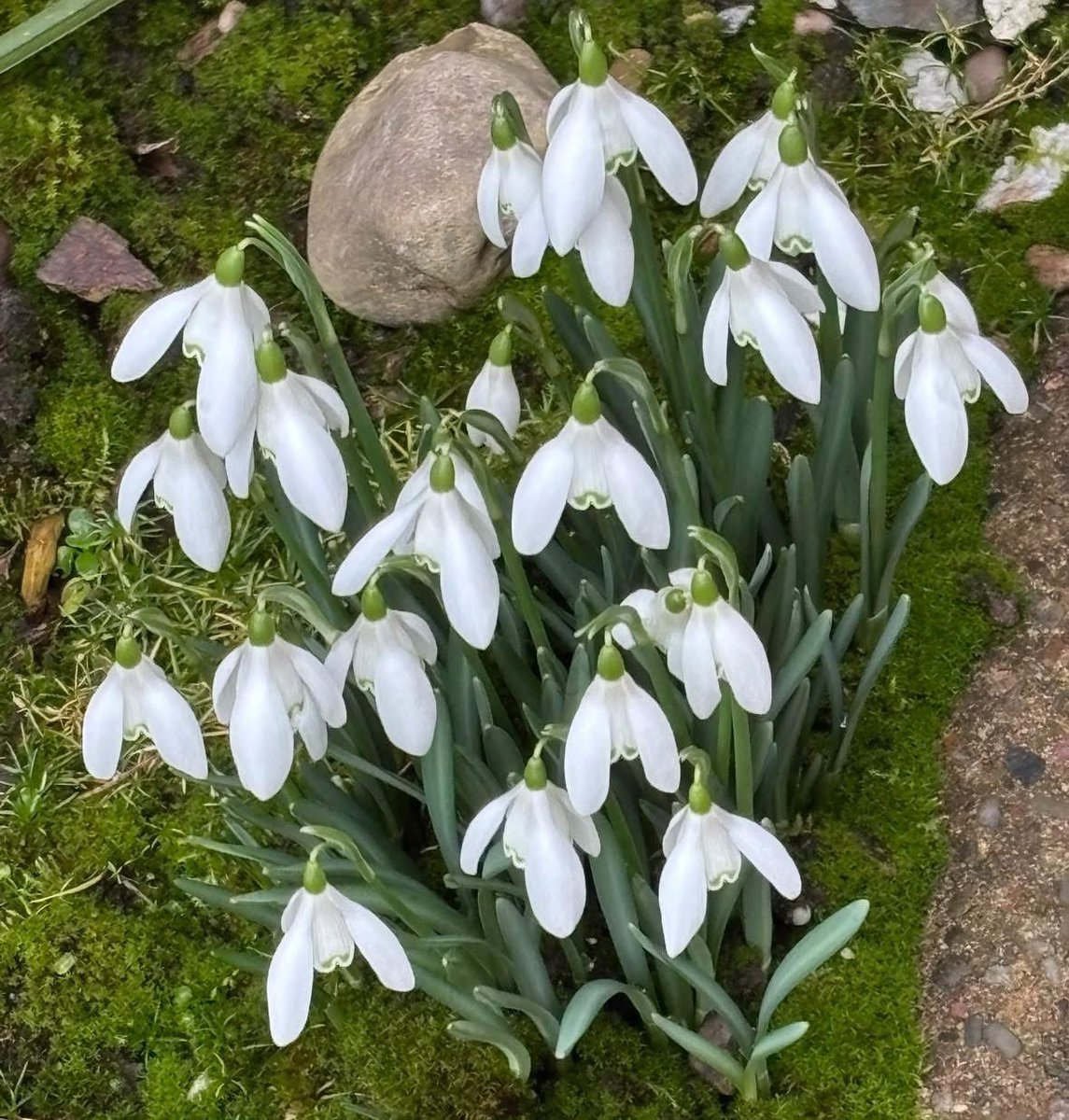 Jenny ☕️ tweet media