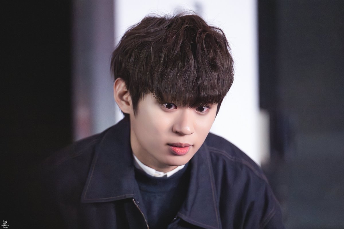 𝑺𝒕𝒂𝒓𝒓𝒚 𝑹𝒐𝒔𝒆 tweet media