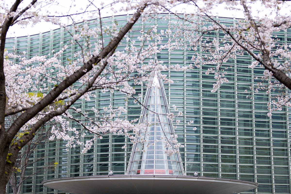 NACT_PR's tweet photo. #NACTtips💡
A Blossoming Art Experience

In spring, cherry blossoms beautifully adorn the National Art Center, Tokyo. Inside in the center, visitors can enjoy the captivating sight of the blossoms through the glass façade.

The season can be enjoyed from the time the blossoms make their first appearance, through full bloom to the delightful time when the blossoms drift gracefully to earth.

We hope you will enjoy your time at the center and take the memories of the cherry blossoms with you.

💡Did you know? NACT Tips at
https://t.co/IFXDln4cin