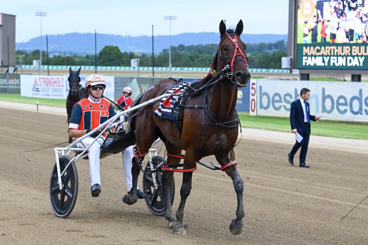 Club Menangle tweet media