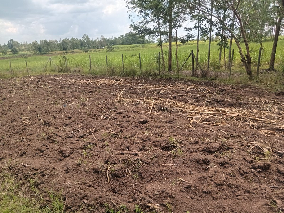 KPL Women Articulation tweet media