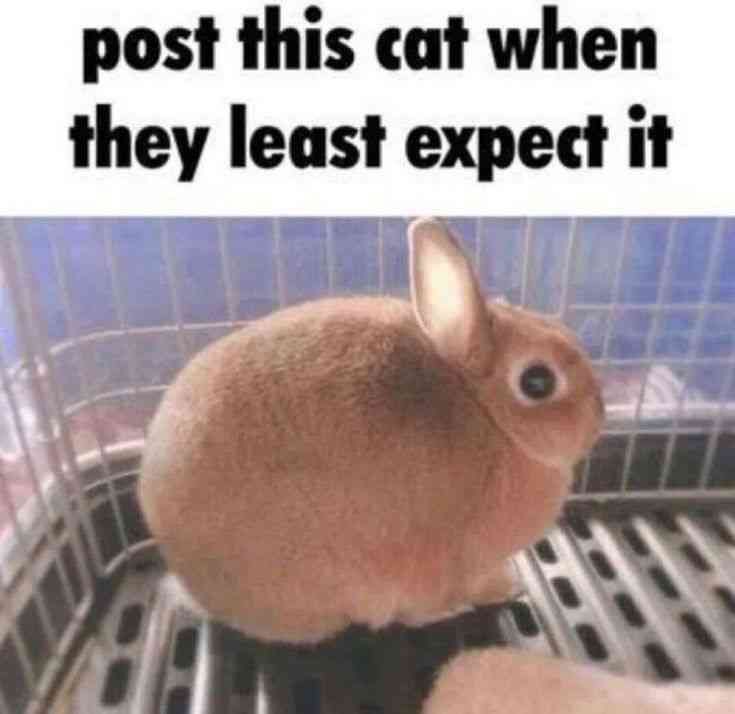 🔞Domi3D🔞COMMS OPEN 24/7 tweet media