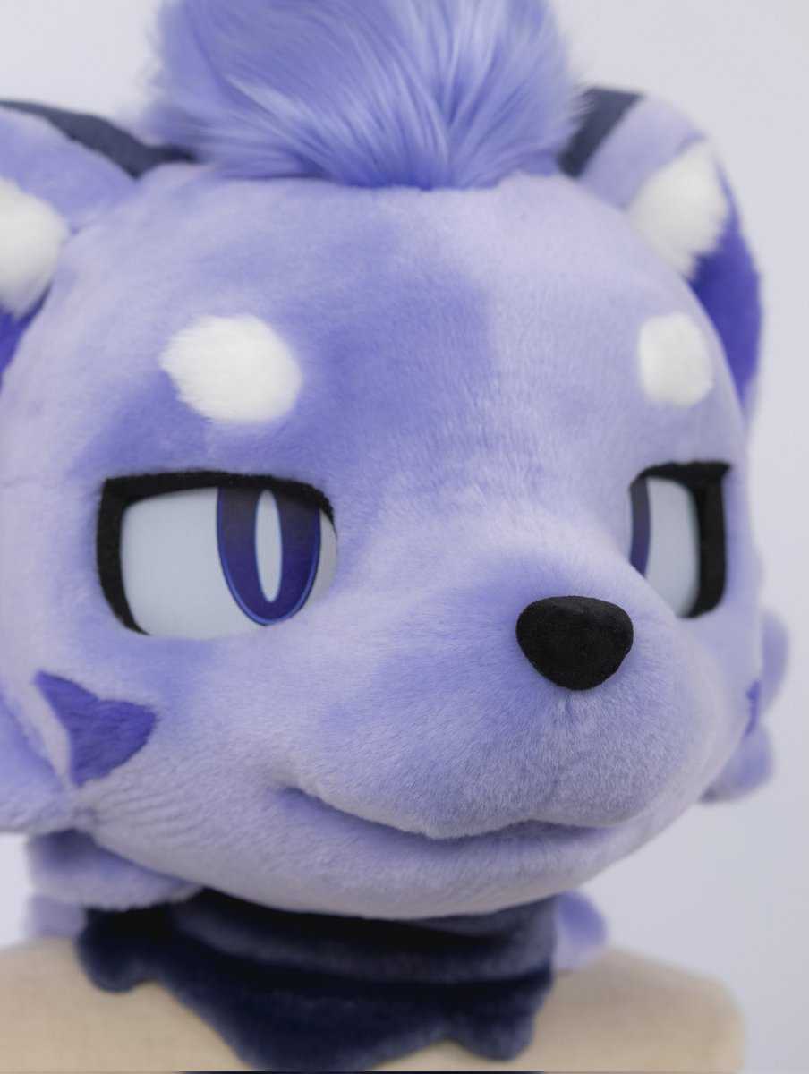 FURGENCE tweet media