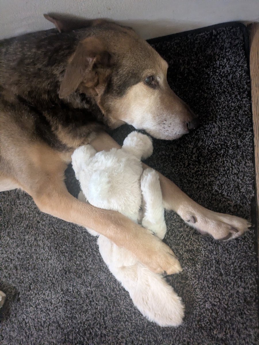 Henry Kozachkov tweet media