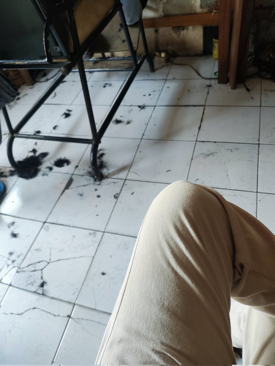 Hann ⚪ tweet media