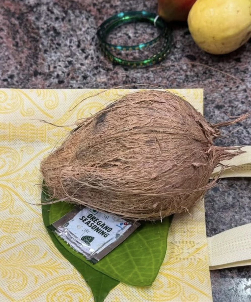 funniest thing i saw on the internet 😭