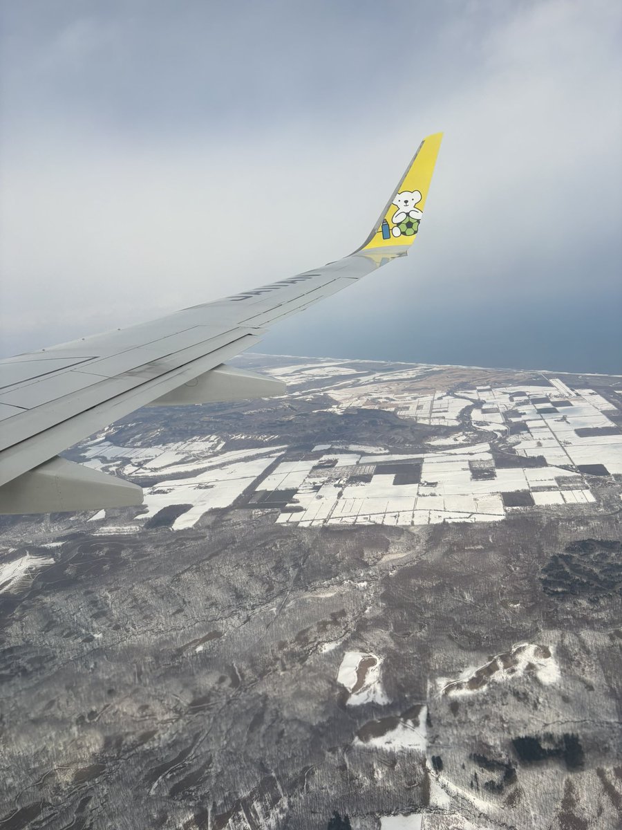 Hb owner しかぬん tweet media