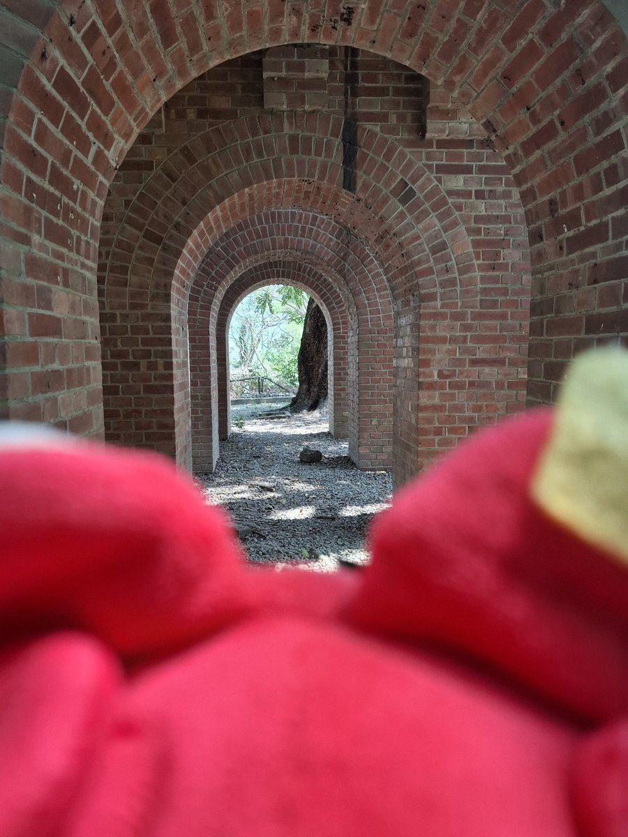 R•Lus🎲 Illustrator tweet media