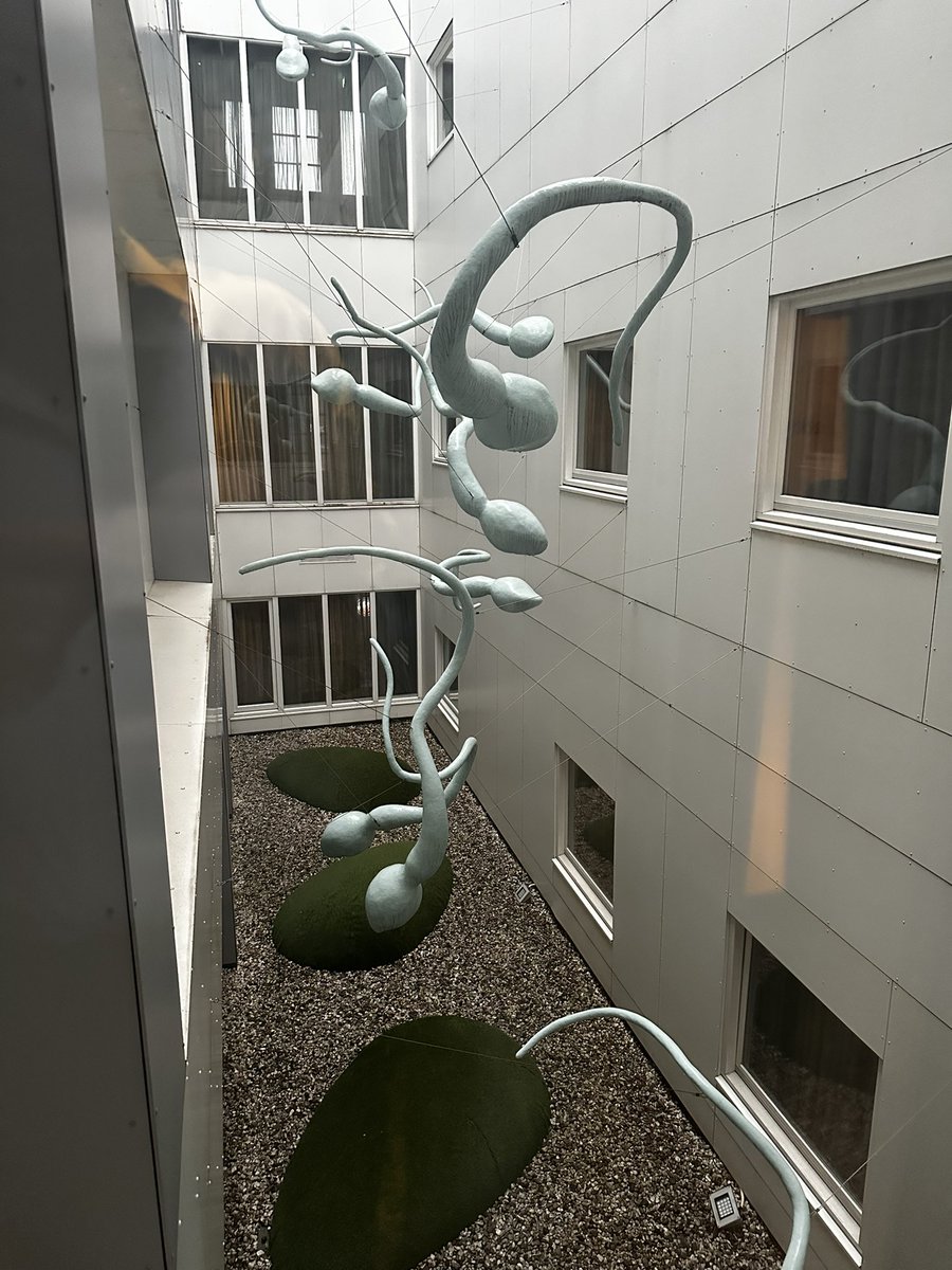 FindingDreams tweet media