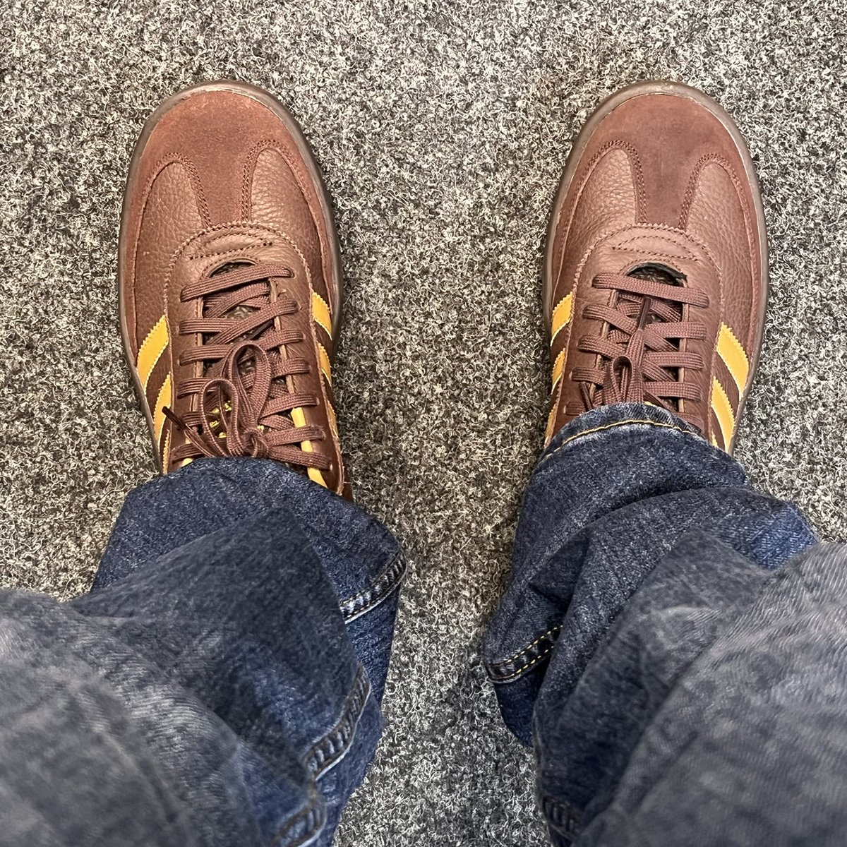 kingcibo tweet media