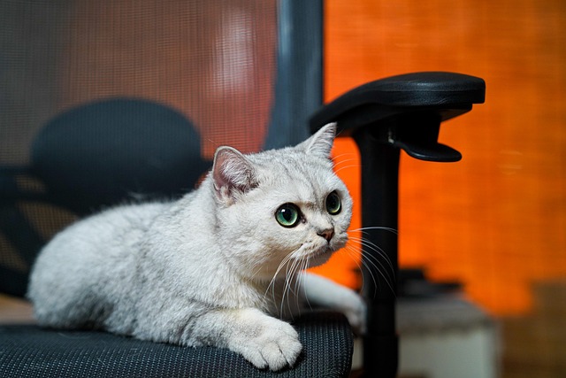 Tammy Mitchell tweet media