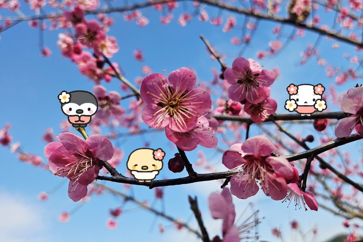 맹맹랑랑 tweet media