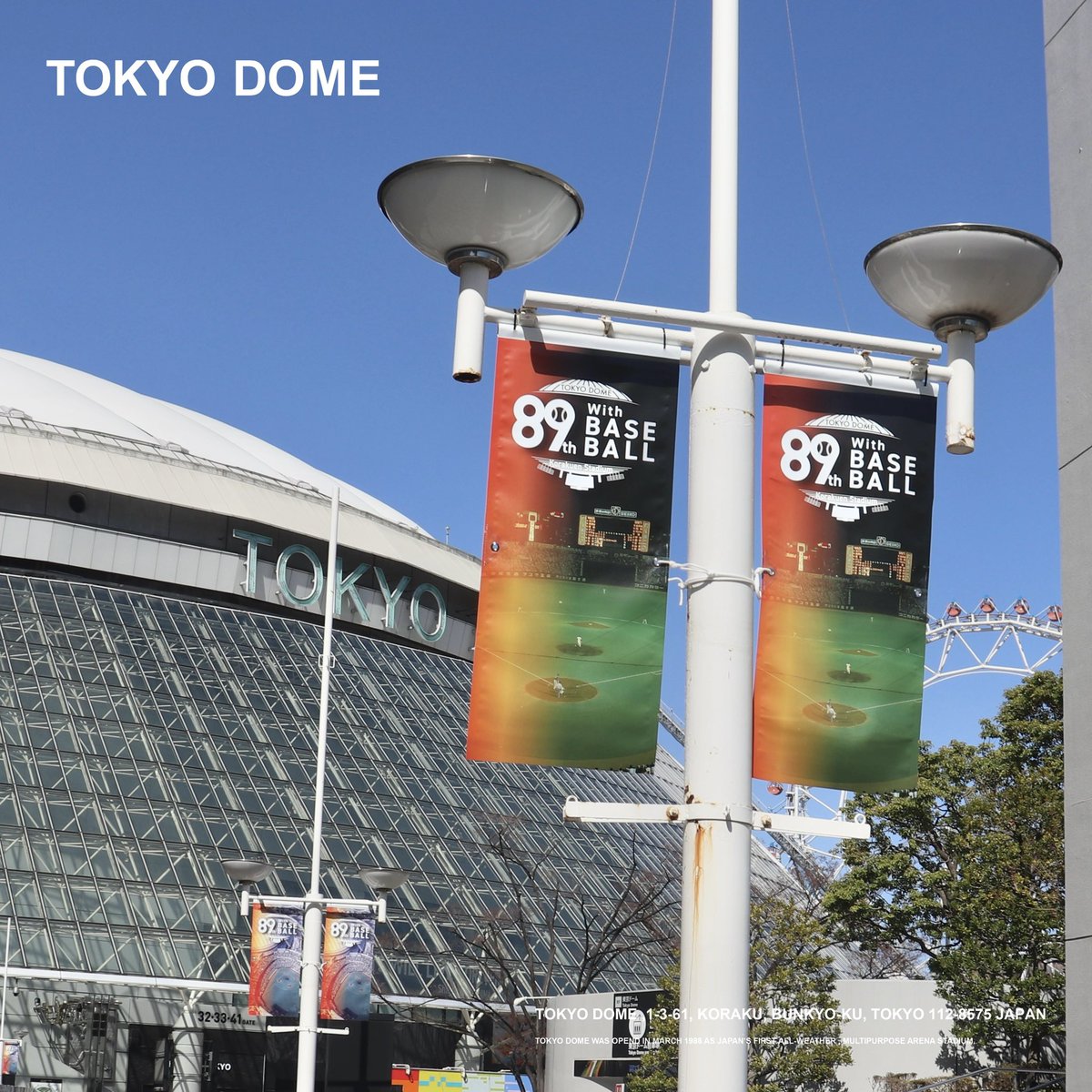 89th With BASEBALL ～後楽園スタジアムから東京ドームへ～』 東京