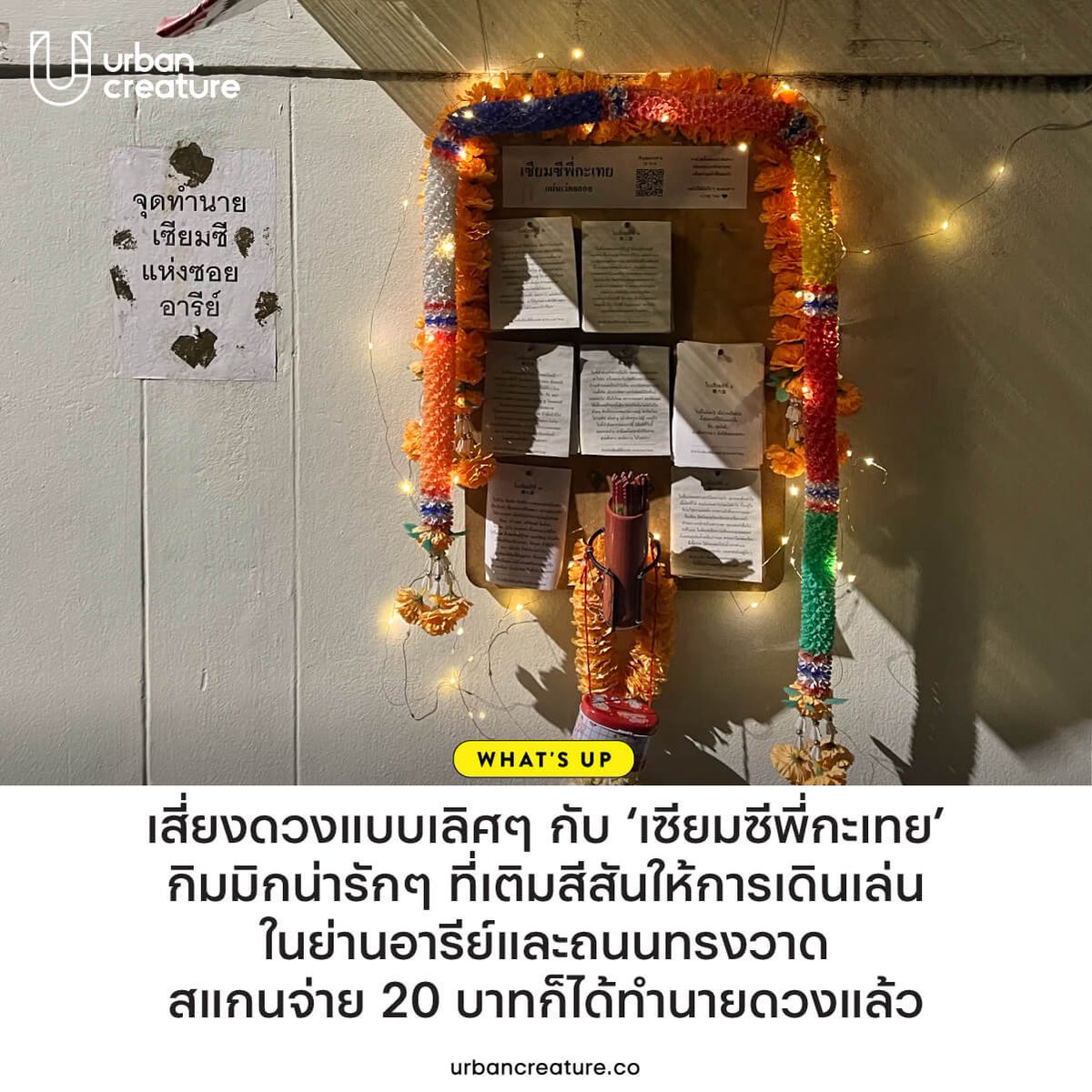 Urban Creature tweet media