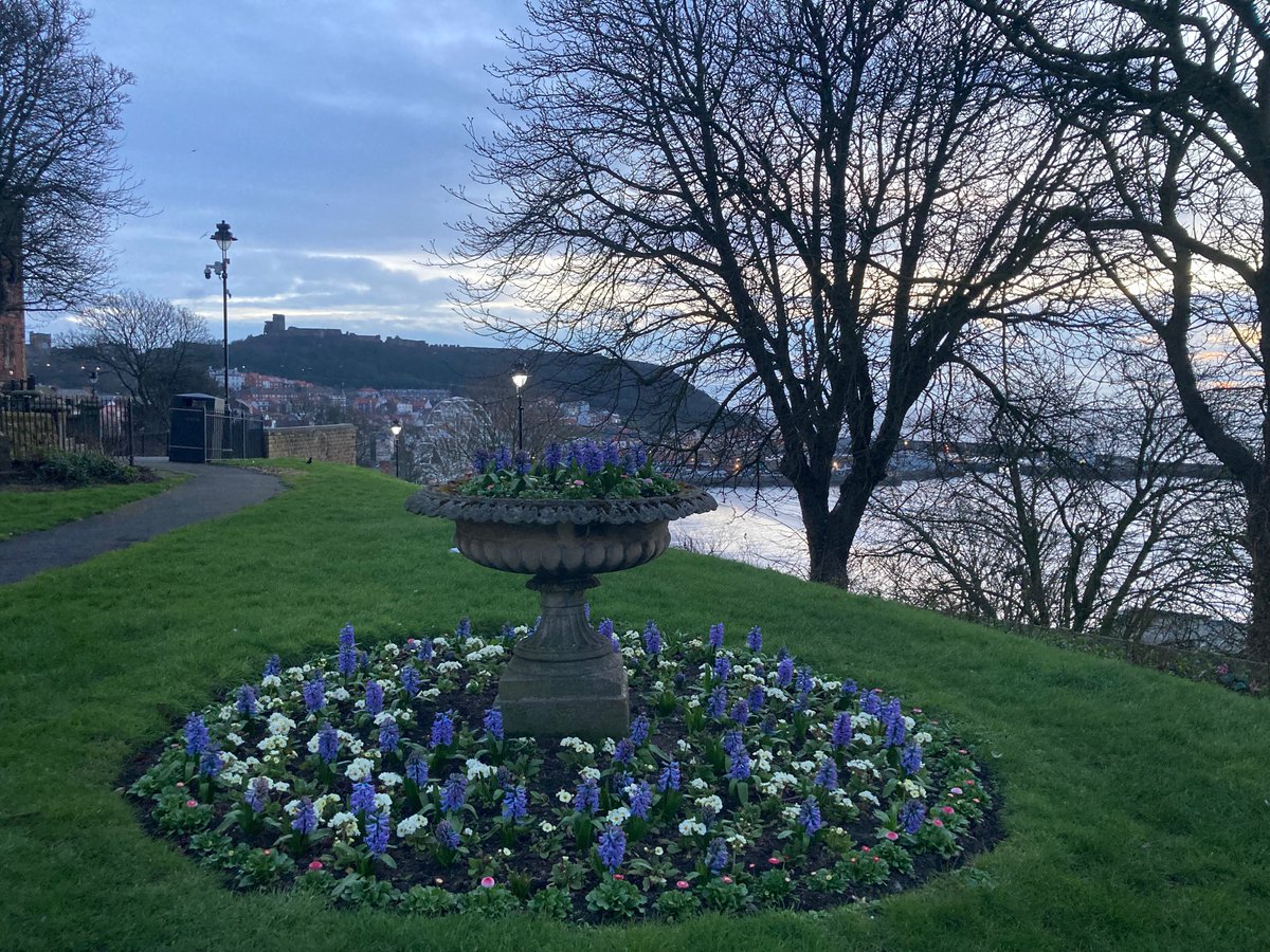 Faith Young Writer tweet media