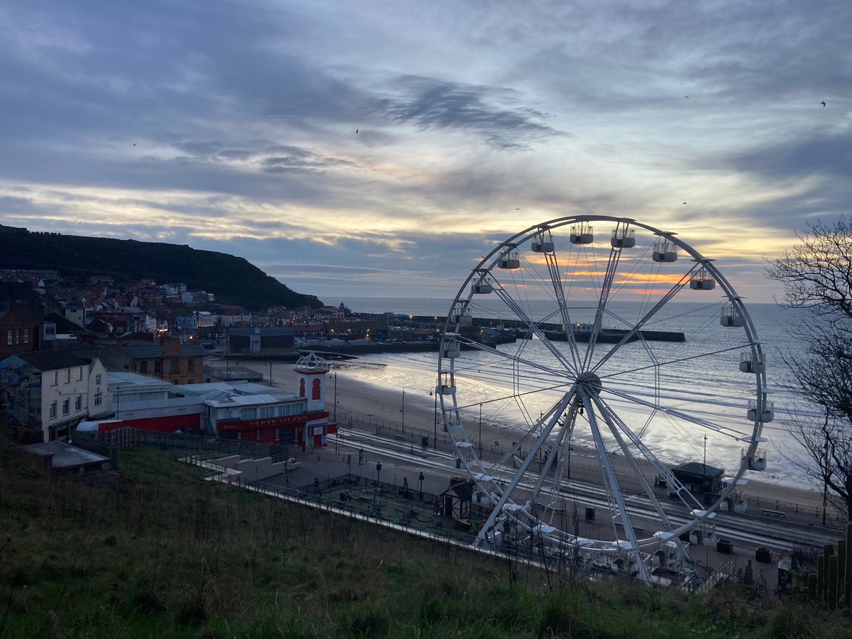 Faith Young Writer tweet media