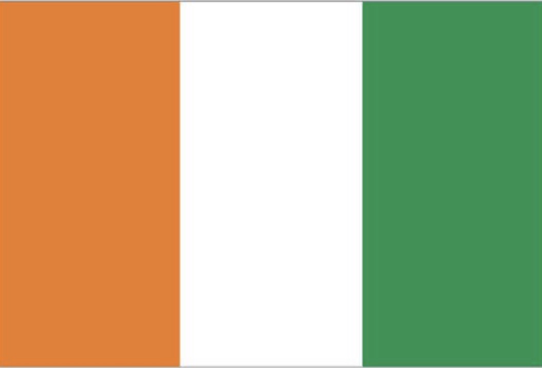 Florence Lox 🇬🇧🏴 tweet media