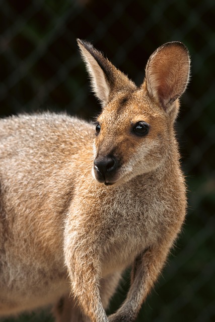 Billy Miller tweet media