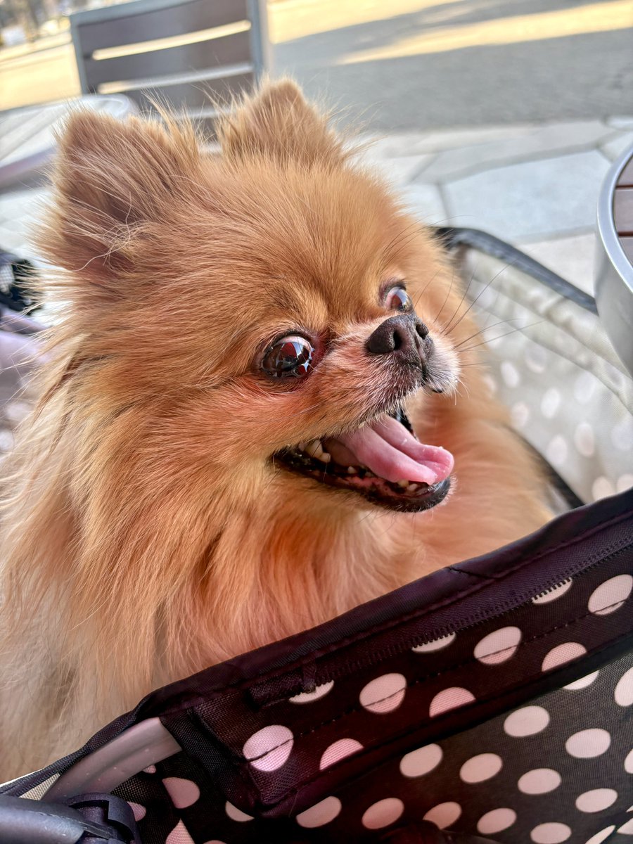 今日もかわち。