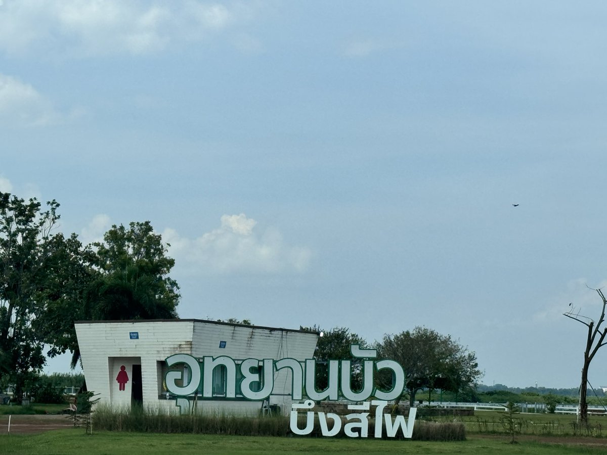 &wednesday z tweet media