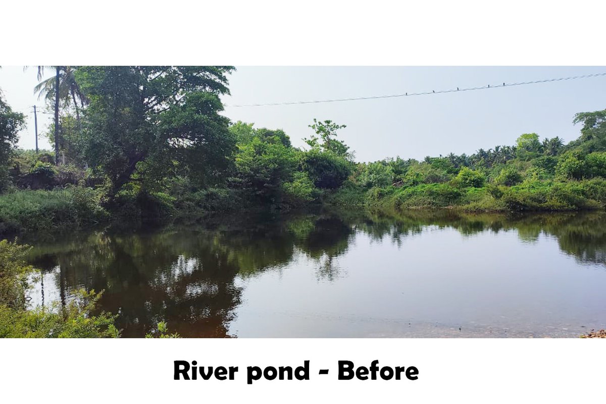 NayaN . 𝕏 . tweet media