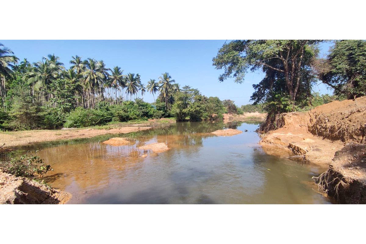 NayaN . 𝕏 . tweet media