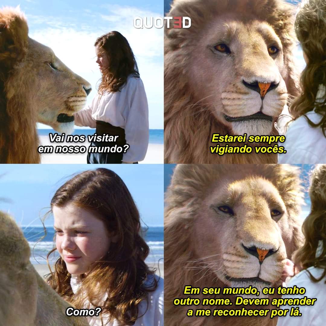 Nordestino tweet media