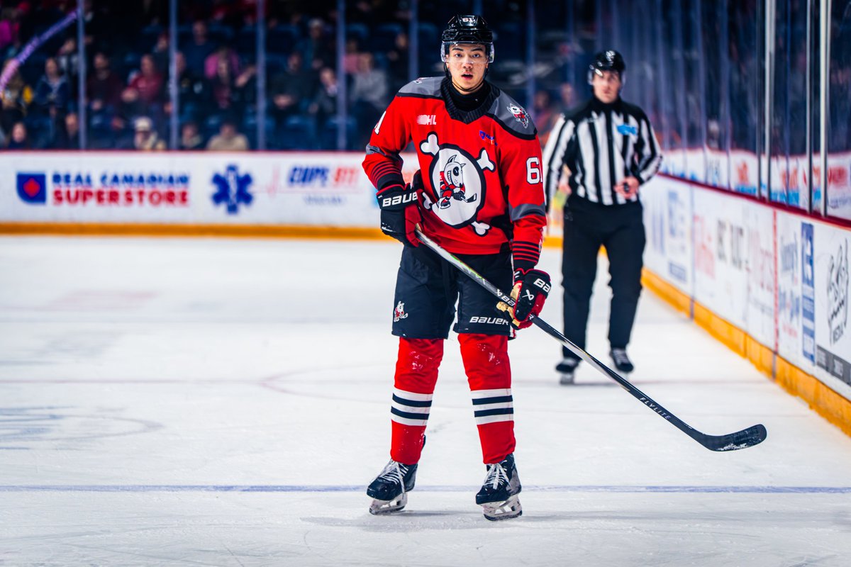 x-Niagara IceDogs tweet media