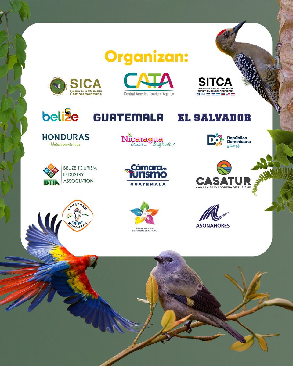 CATA Centroamérica tweet media