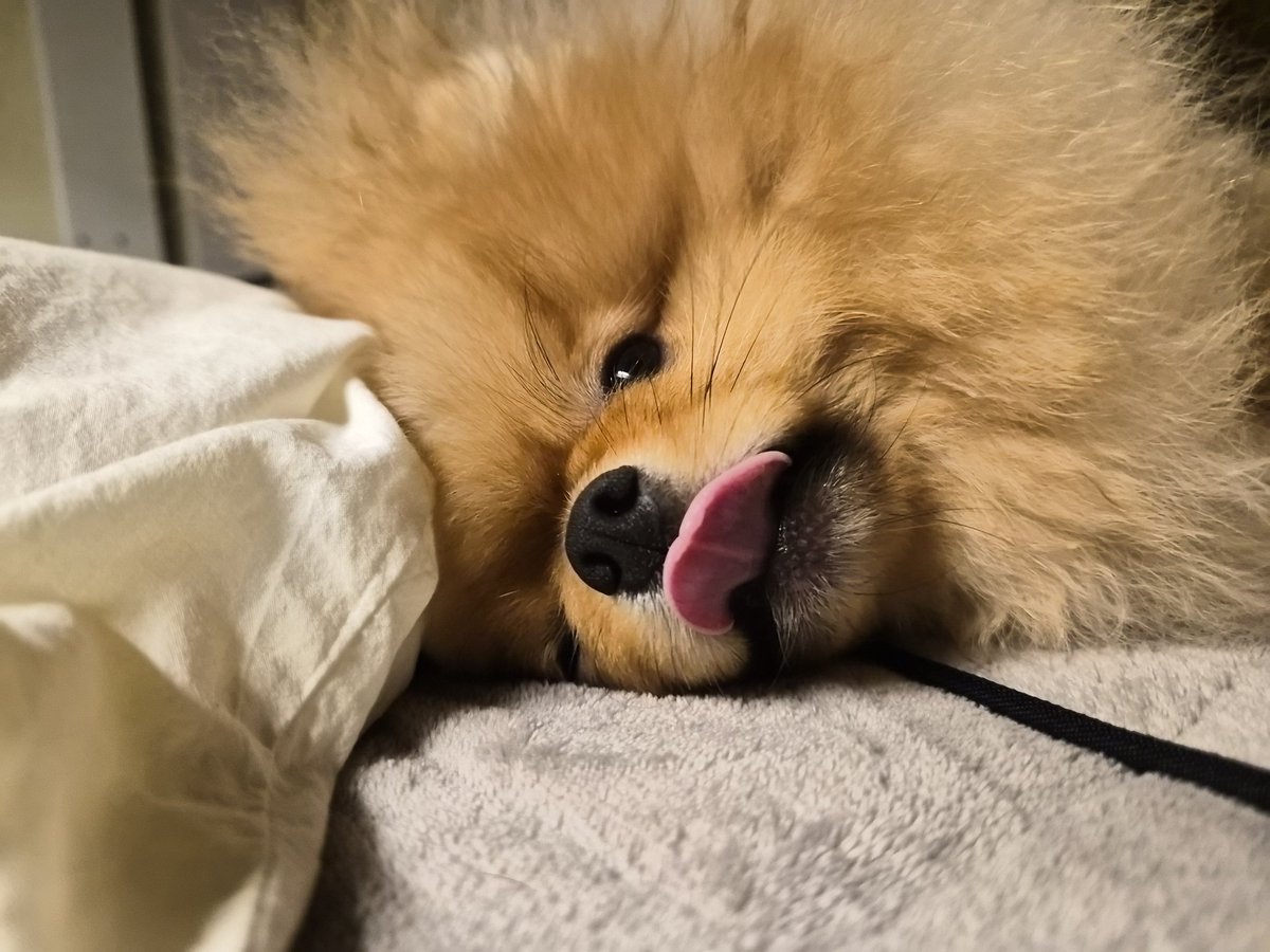 양개이cctv tweet media