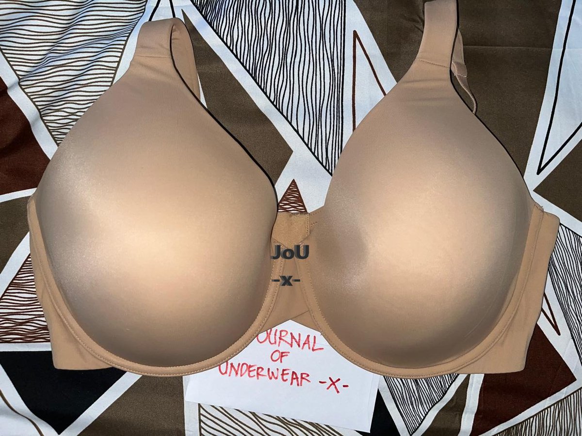 Journal of Underwear tweet media