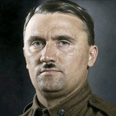 Someone with this pfp just followed me: