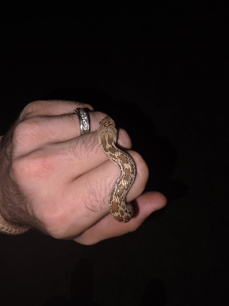 Alex Leaf tweet media