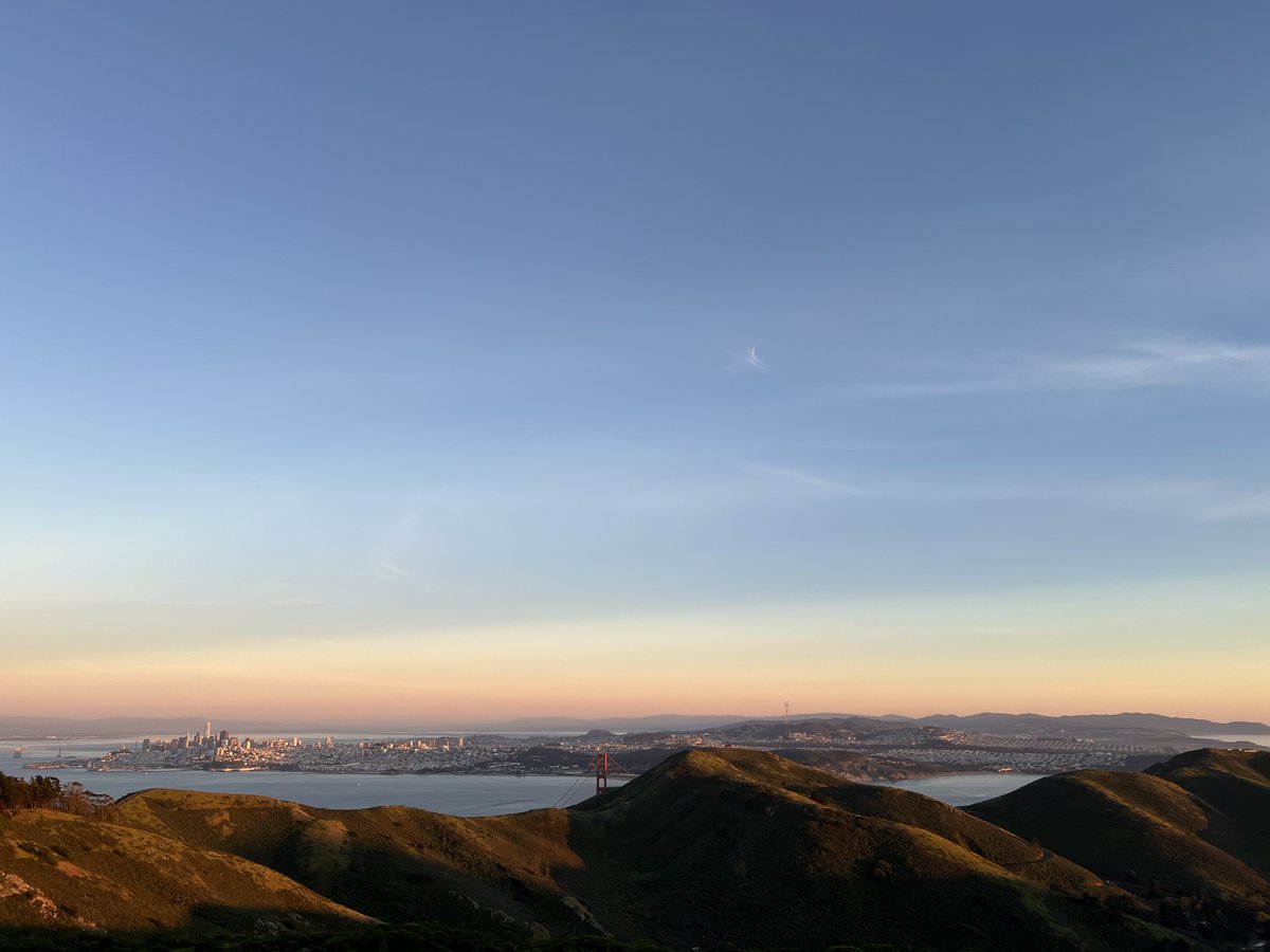 Andrew Stern tweet media