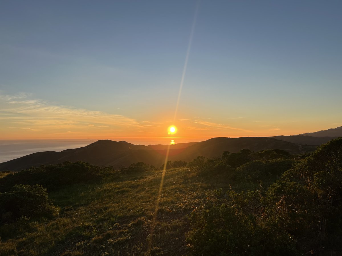 Andrew Stern tweet media