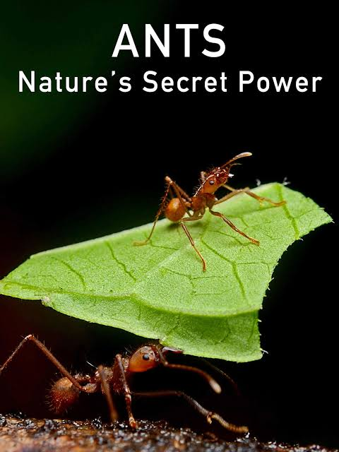 Stuart Green tweet media