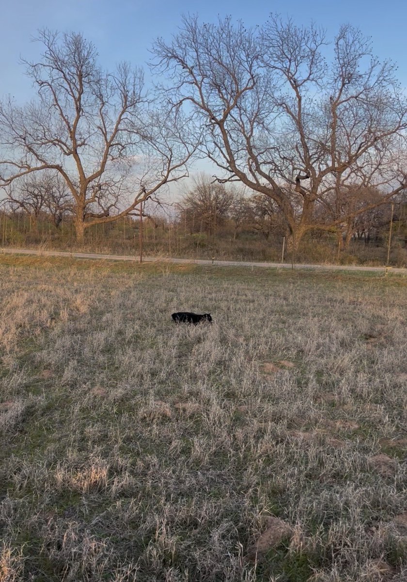 BellyMay tweet media