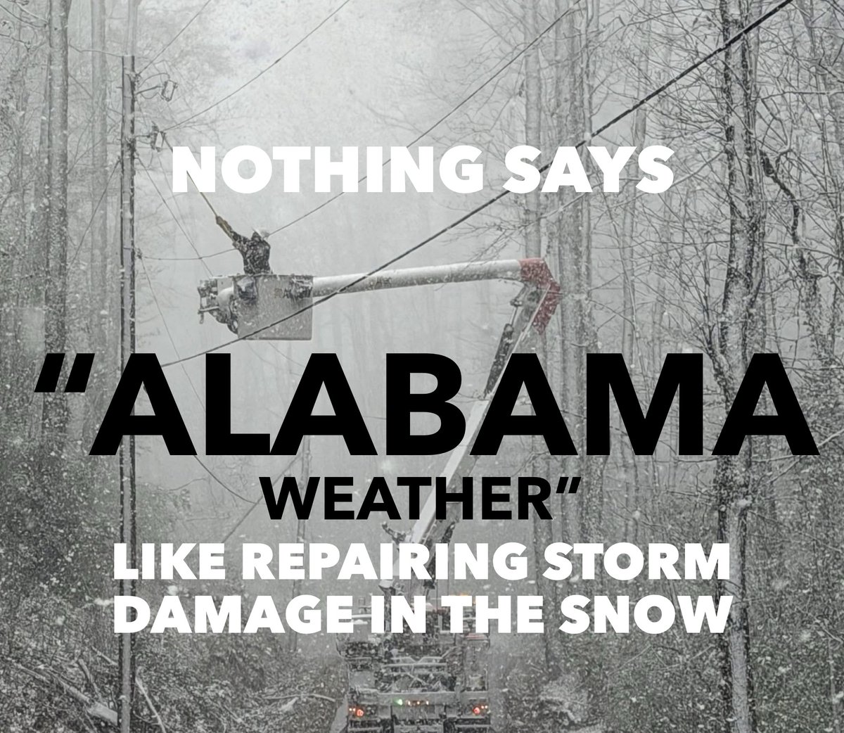 Josh Johnson tweet media