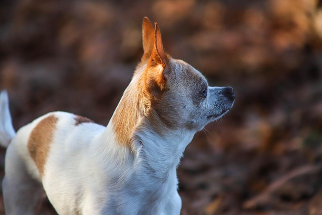 Mike Render tweet media