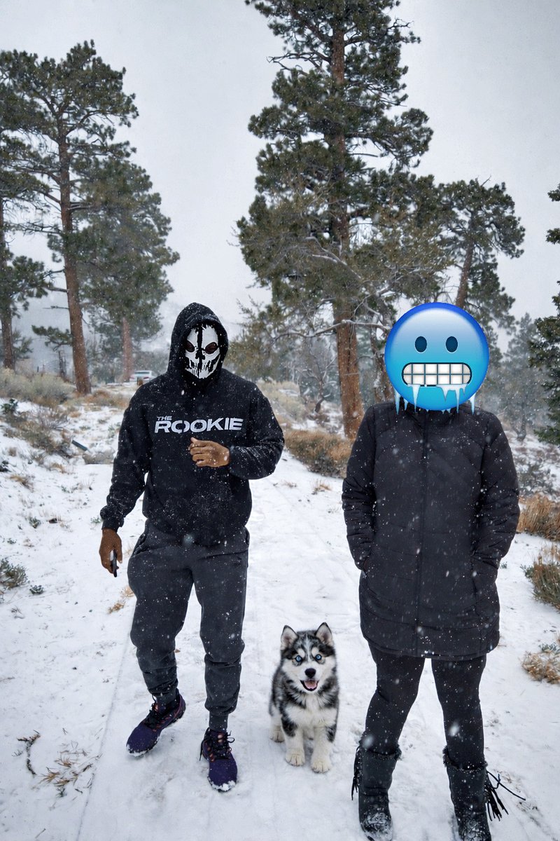 here we observe the lupine whelpling in its natural habitat